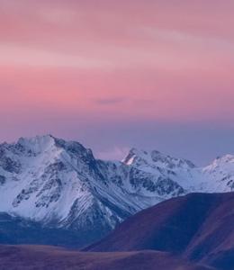 author profile image