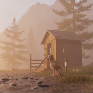 author profile image